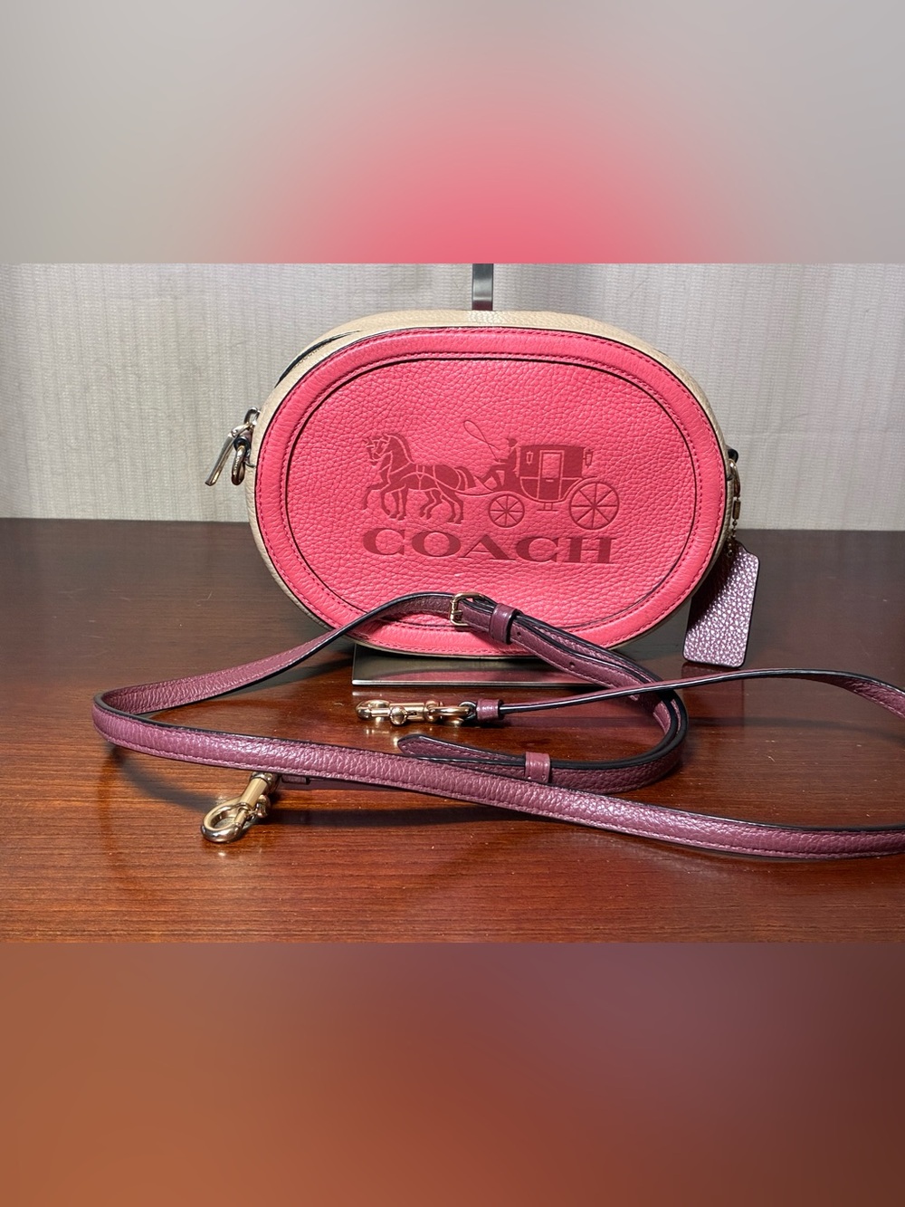 Coach Color-block Horse And Carriage Crossbody Camera Bag